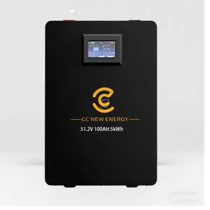 51.2V 100AH Lithium Battery Bank Cost-Effective Home Energy Storage System Pure Sine Wave Inverter Hybrid Grid Solar Integration