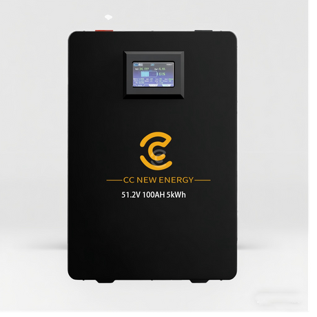 51.2V 100AH Lithium Battery Bank Cost-Effective Home Energy Storage System Pure Sine Wave Inverter Hybrid Grid Solar Integration