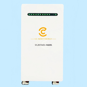 51.2V 314Ah Inverter Solar Power with Panels Lithium Battery Pack Solar Batteries Bank Solar Cells
