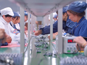 8800f42dd47dd21f70e6b5f1b08c875a