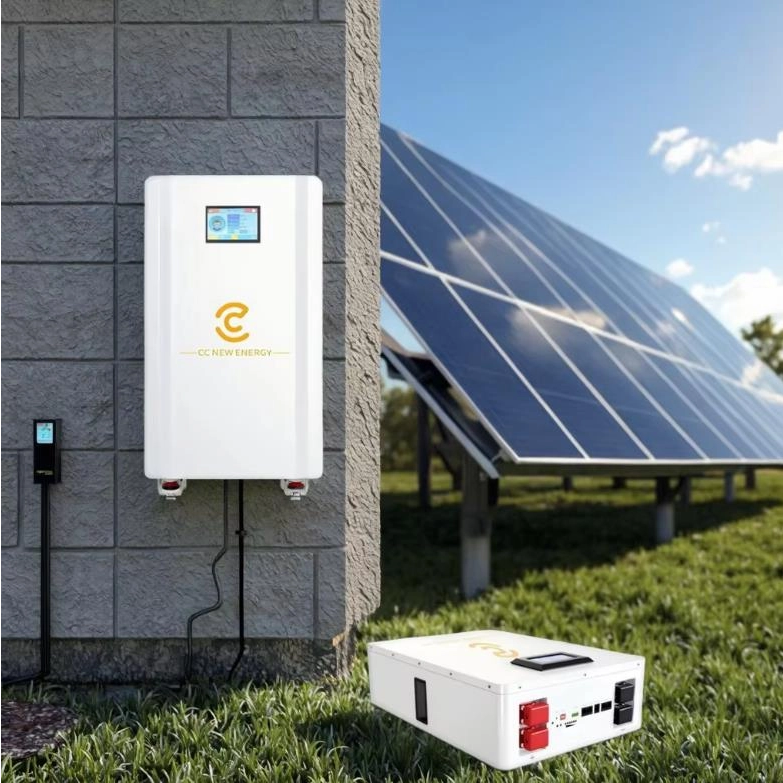 Solar Energy Storage Battery Lithium Battery with BMS Protection for Efficient Energy Storage (8)_783_783.jpg